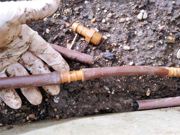 Read our featured blog post about the benefits of seasonal sprinkler check-ups