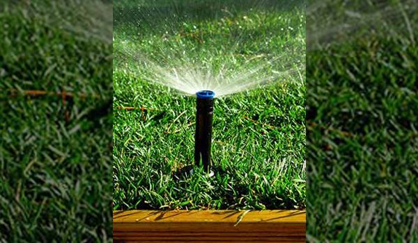 lawn sprinkler shooting water