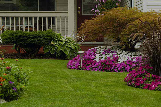 a nicely manicured front lawn