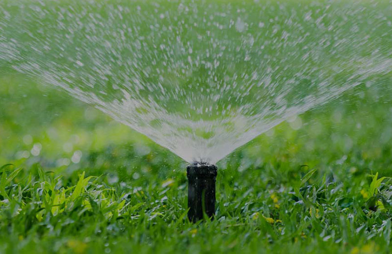 Explore insightful articles on sprinkler maintenance and water conservation on our blog