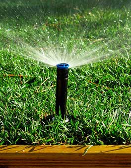 Visit our blog to learn about eco-friendly irrigation practices you can adopt
