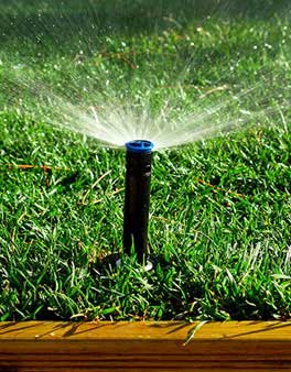 lawn sprinkler shooting water