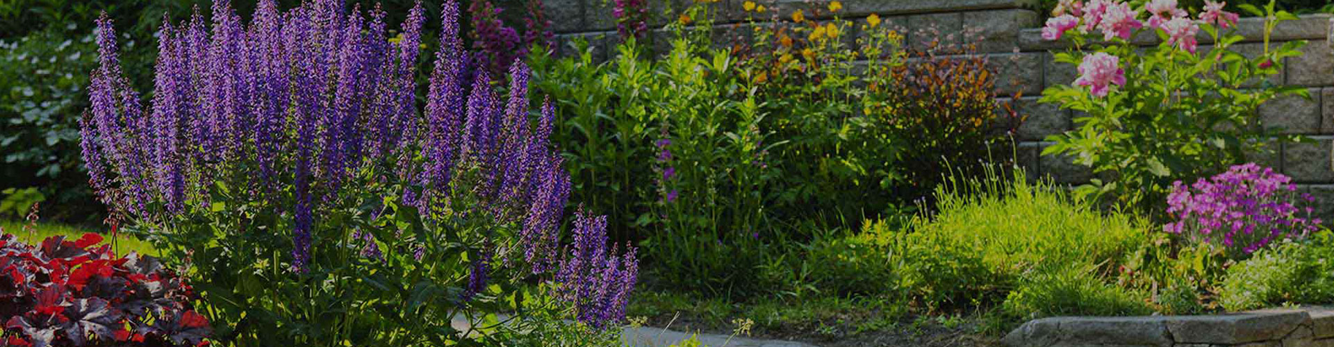 Reach out to The Sprinkler Repair Company for all your sprinkler repair needs in Chino Hills